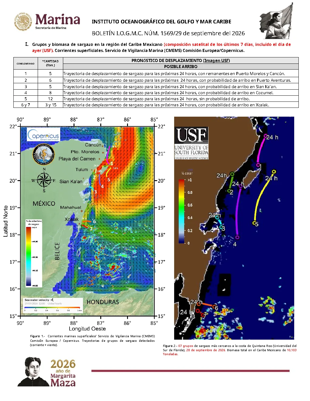 SEMAR sargassum bulletin map